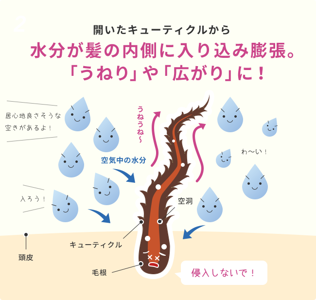 海藻 ヘア エッセンス ヒートメモリー｜ラサーナ公式通販サイト