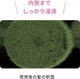 内側までしっかり浸透  使用後の髪の断面