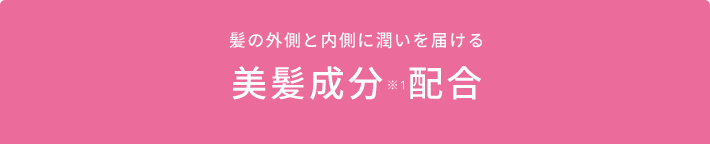 髪の外側と内側に潤いを届ける美髪成分※1配合