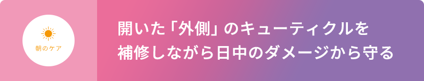 朝のケア  開いた「外側」のキューティクルを補修しながら⽇中のダメージから守る