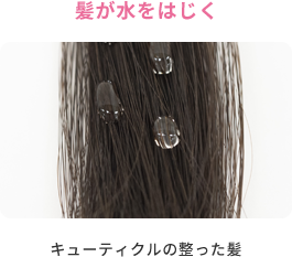 髪が水をはじく  キューティクルの整った髪