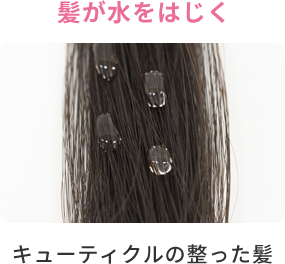 うねり、広がり 湿気に負けない夜と朝の美髪ケアを！ 梅雨のお
