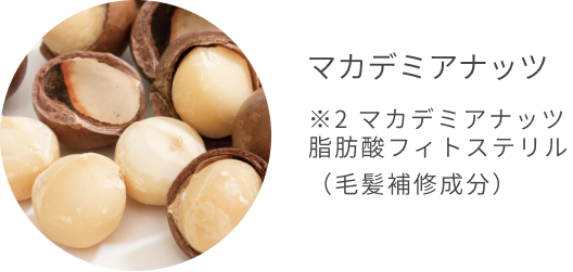 マカデミアナッツ  ※2 マカデミアナッツ脂肪酸フィトステリル （毛髪補修成分）