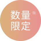 数量限定※
