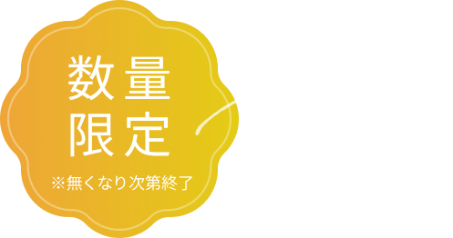 New!  数量限定  ※無くなり次第終了