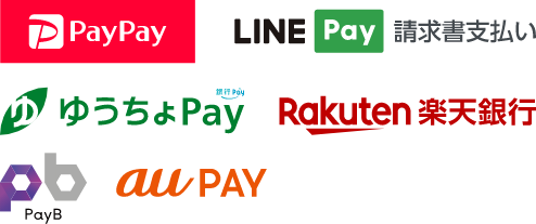 PayPay LINE Pay 請求書支払い ゆうちょPay Rakuten 楽天銀行 PayB au PAY