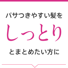 パサつきやすい髪をしっとりにまとめたい方に