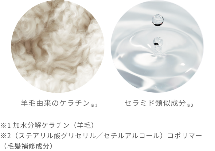 羊毛由来のケラチン※1 セラミド類似成分※2 ※1 加水分解ケラチン(羊毛) ※2(ステアリル酸グリセリル/セチルアルコール)コポリマー(毛髪補修成分)