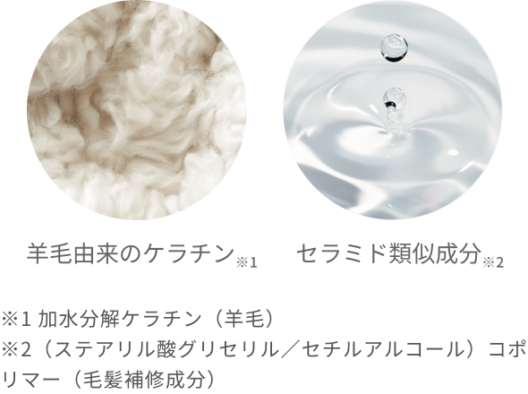 羊毛由来のケラチン※1  セラミド類似成分※2  ※1 加水分解ケラチン（羊毛）  ※2（ステアリル酸グリセリル／セチルアルコール）コポリマー（毛髪補修成分）
