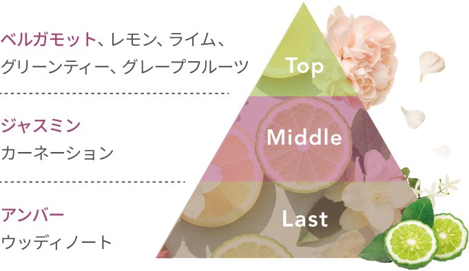 Top ベルガモット、レモン、ライム、グリーンティー、グレープフルーツ Middle ジャスミン カーネーション Last アンバー ウッディノート