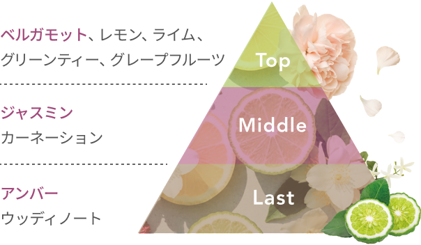 Top  ベルガモット、レモン、ライム、グリーンティー、グレープフルーツ  Middle  ジャスミン カーネーション  Last  アンバー ウッディノート