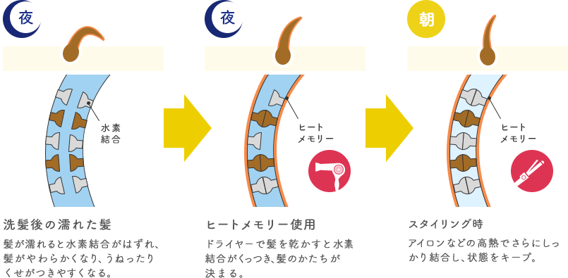 夜 洗髪後の濡れた髪髪が濡れると水素結合がはずれ、髪がやわらかくなり、うねったりくせがつきやすくなる。水素結合 夜 ヒートメモリー使用ドライヤ－で髪を乾かすと水素結合がくっつき、髪のかたちが決まる。 ヒートメモリー 朝 スタイリング時アイロンなどの高熱でさらにしっかり結合し、状態をキープ。 ヒートメモリー