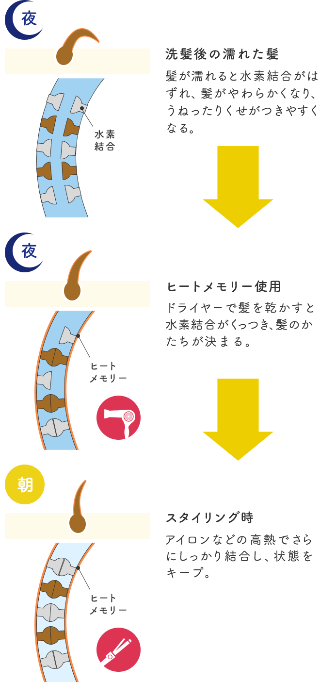 夜 洗髪後の濡れた髪髪が濡れると水素結合がはずれ、髪がやわらかくなり、うねったりくせがつきやすくなる。水素結合 夜 ヒートメモリー使用ドライヤ－で髪を乾かすと水素結合がくっつき、髪のかたちが決まる。 ヒートメモリー 朝 スタイリング時アイロンなどの高熱でさらにしっかり結合し、状態をキープ。ヒートメモリー