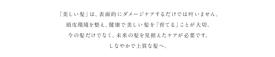 「美しい髪」は、表面的にダメージケアするだけでは叶いません。頭皮環境を整え、健康で美しい髪を「育てる」ことが大切。今の髪だけでなく、未来の髪を見据えたケアが必要です。しなやかで上質な髪へ。