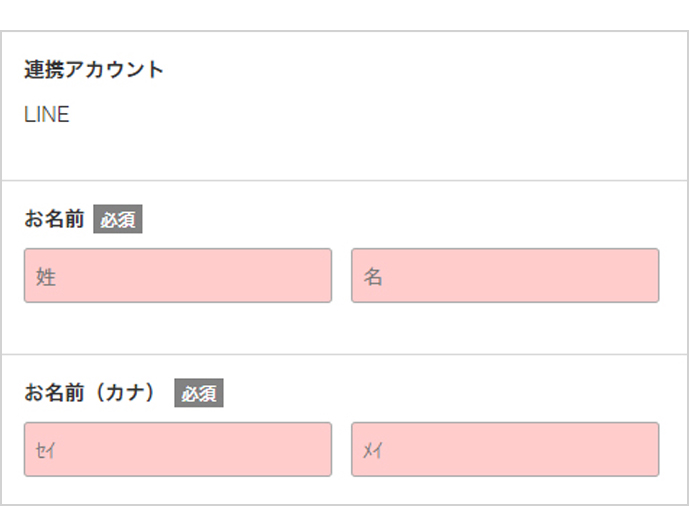 入力フォームに残りの必須項目を入力