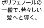 ポリフェノールの一種で、若々しい髪へと導く。