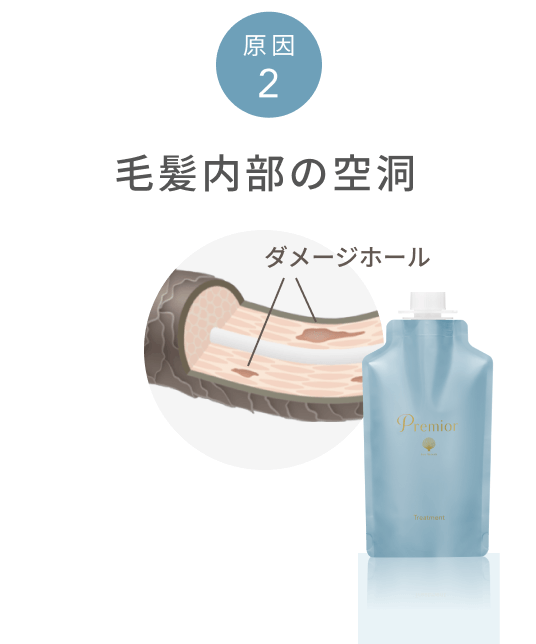 原因 2 毛髪内部の空洞 ダメージホール