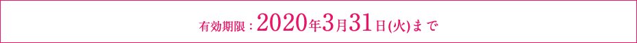有効期限:2021年3月31日(火)まで