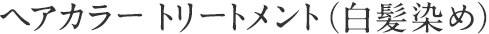 ヘアカラー トリートメント（白髪染め）