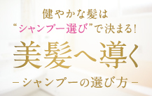 健やかな髪はシャンプー選びで決まる！ 美髪へ導くシャンプーの選び方