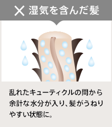 湿気を含んだ髪 乱れたキューティクルの間から余計な水分が入り、髪がうねりやすい状態に。