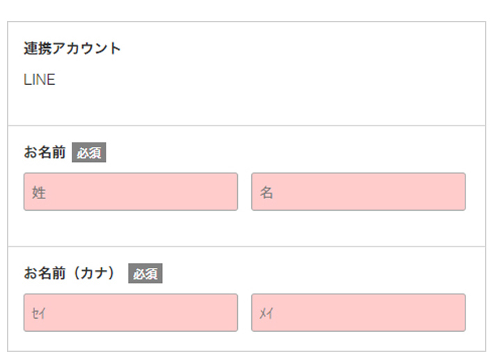 入力フォームに残りの必須項目を入力