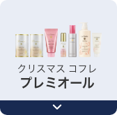 クリスマス コフレ  プレミオール