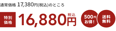 通常価格 17,380円(税込)のところ  特別価格16,880円税込  500円お得！  送料無料通常価格 17,380円(税込)のところ  特別価格16,880円税込  500円お得！  送料無料