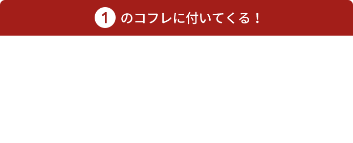 1 のコフレに付いてくる！