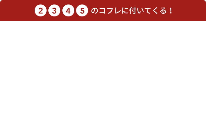 2 3 4 5 のコフレに付いてくる！