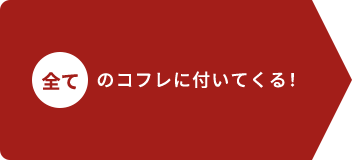 全てのコフレに付いてくる！