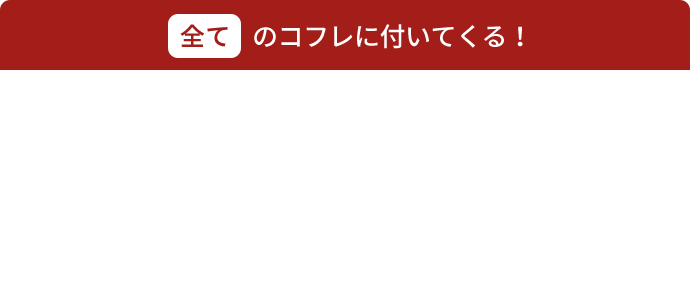 全てのコフレに付いてくる！