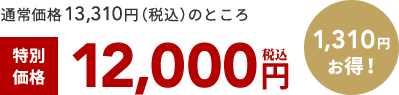 通常価格13,310円（税込）のところ 特別 価格 12,000円 税込 1,310円 お得！