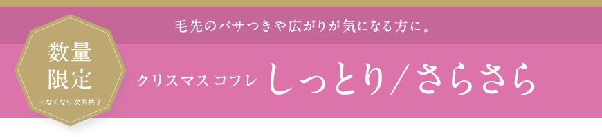 毛先のパサつきや広がりが気になる方に。 クリスマス コフレ しっとり/さらさら