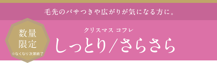 毛先のパサつきや広がりが気になる方に。 クリスマス コフレ しっとり/さらさら