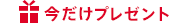 プレゼント付き