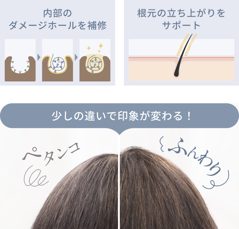 内部のダメージホールを補修  根元の立ち上がりをサポート  少しの違いで印象が変わる！  ぺタンコ  ふんわり