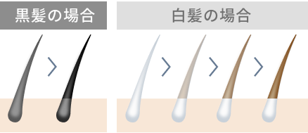 黒髪の場合 白髪の場合