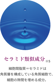 セラミド類似成分 ※5  細胞間脂質＝セラミドは角質層を構成している角質細胞で、細胞の隙間を埋める成分。