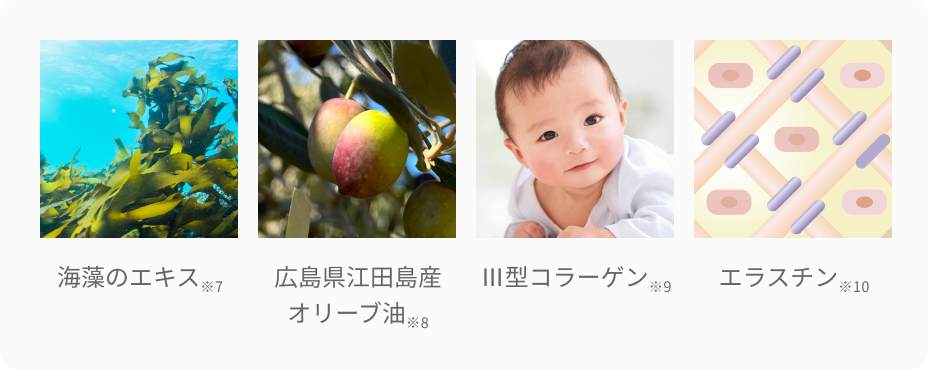 海藻のエキス※7  広島県江田島産  オリーブ油※8  Ⅲ型コラーゲン※9  エラスチン※10