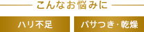 こんなお悩みに ハリ不足 パサつき・乾燥