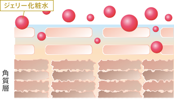 ジェリー化粧水 角質層