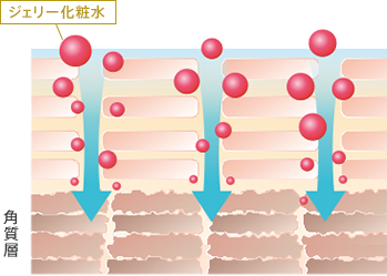 ジェリー化粧水 角質層