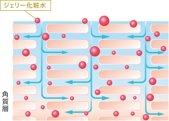 ジェリー化粧水 角質層