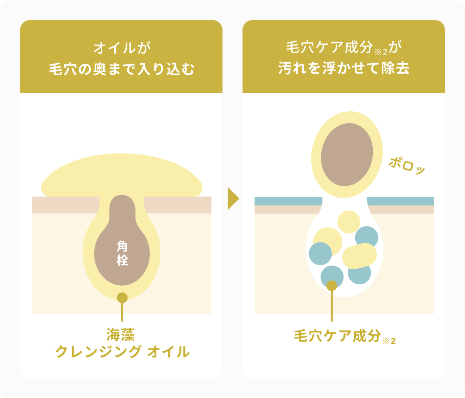オイルが毛穴の奥まで入り込む  角栓  海藻 クレンジング オイル  毛穴ケア成分※2が汚れを浮かせて除去  ポロッ  毛穴ケア成分※2