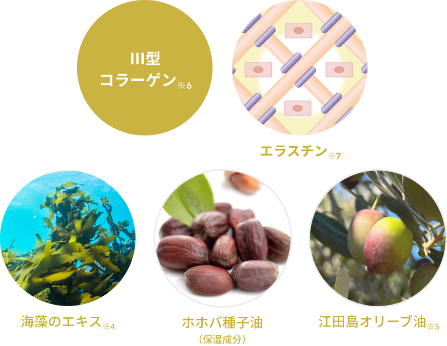 Ⅲ型 コラーゲン※6  エラスチン※7  海藻のエキス※4  ホホバ種子油（保湿成分）  江田島オリーブ油※5