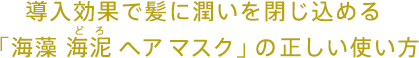 導入効果で髪に潤いを閉じ込める 「海藻 海泥（どろ） ヘア マスク」の正しい使い方