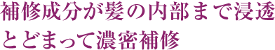 補修成分が髪の内部まで浸透 とどまって濃密補修