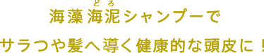 海藻 海泥 シャンプーで サラつや髪へ導く健康的な頭皮に！