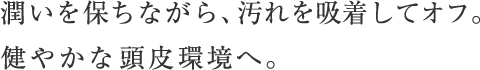 潤いを保ちながら、汚れを吸着してオフ。 健やかな頭皮環境へ。